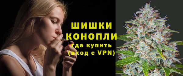 шишки Майский