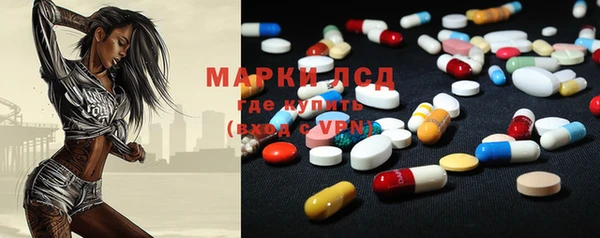 шишки Майский