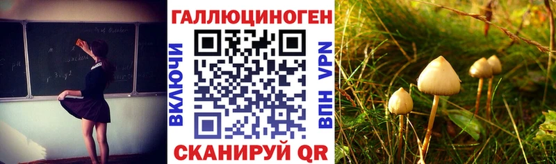 omg зеркало  купить наркотик  Оханск  Псилоцибиновые грибы GOLDEN TEACHER 